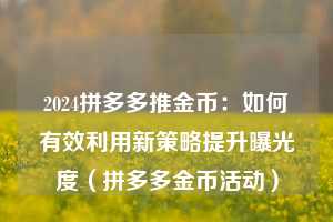 2024拼多多推金币：如何有效利用新策略提升曝光度（拼多多金币活动）  第1张