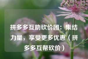 拼多多互助砍价团：集结力量，享受更多优惠（拼多多互帮砍价）  第1张