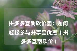 拼多多互助砍价团：如何轻松参与并享受优惠（拼多多互帮砍价）  第1张