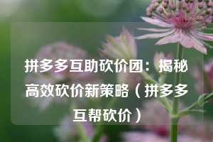 拼多多互助砍价团：揭秘高效砍价新策略（拼多多互帮砍价）  第1张