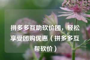 拼多多互助砍价团，轻松享受团购优惠（拼多多互帮砍价）  第1张