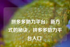  拼多多助力平台：新方式的秘诀，拼多多助力平台入口 第1张