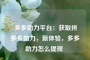  多多助力平台：获取拼多多助力，新体验，多多助力怎么提现 第1张