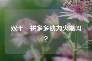 双十一拼多多助力火爆吗？  拼多多助力 拼多多推金币 拼多多推金币助力 拼多多助力平台 拼多多助力项目 拼多多助力网站 赚钱项目 暑假赚钱项目 拼多多赚钱 第1张