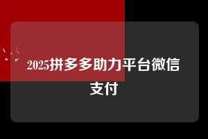 2025拼多多助力平台微信支付  微信支付 微信付款 拼多多助力 拼多多助力平台 拼多多刷助力平台 拼多多助力平台在线刷 第1张